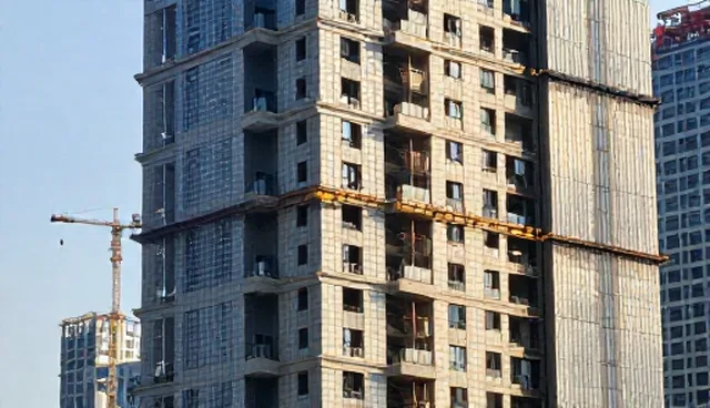 项目咨询适用条件检查要点解析